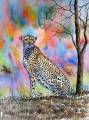 Cheetah Couleurs Afriqueine
